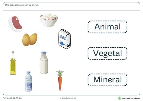  ¡Indigo: Tinte Natural de Origen Vegetal para un Futuro Más Sostenible!