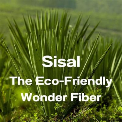  Séptima fibra de la naturaleza: ¿Sabías que el Sisal es una maravilla para textiles?