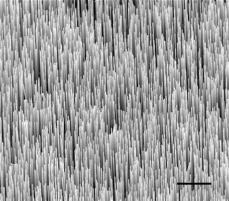  Zinc Oxide Nanowires ¡La Estrella Ascendente en Optoelectrónica de Alta Eficiencia!