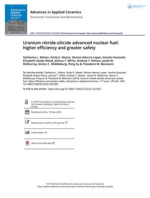  Uranium Nitride: Unlocking Green Energy Solutions Through Advanced Nuclear Fuel Applications!